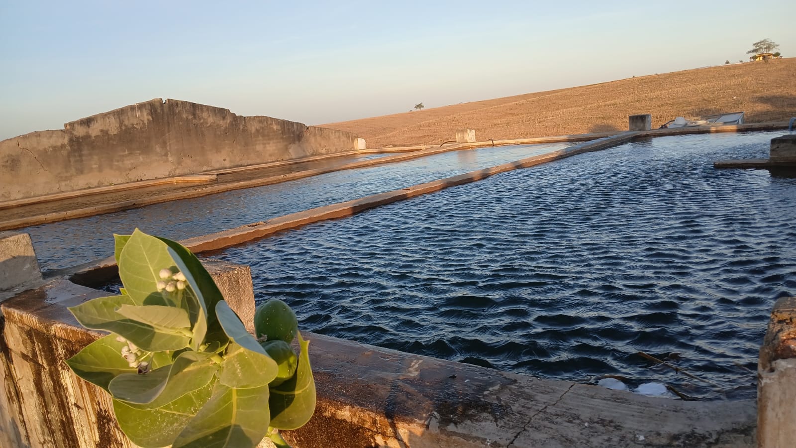 30211364712112025 fraude belo monte01