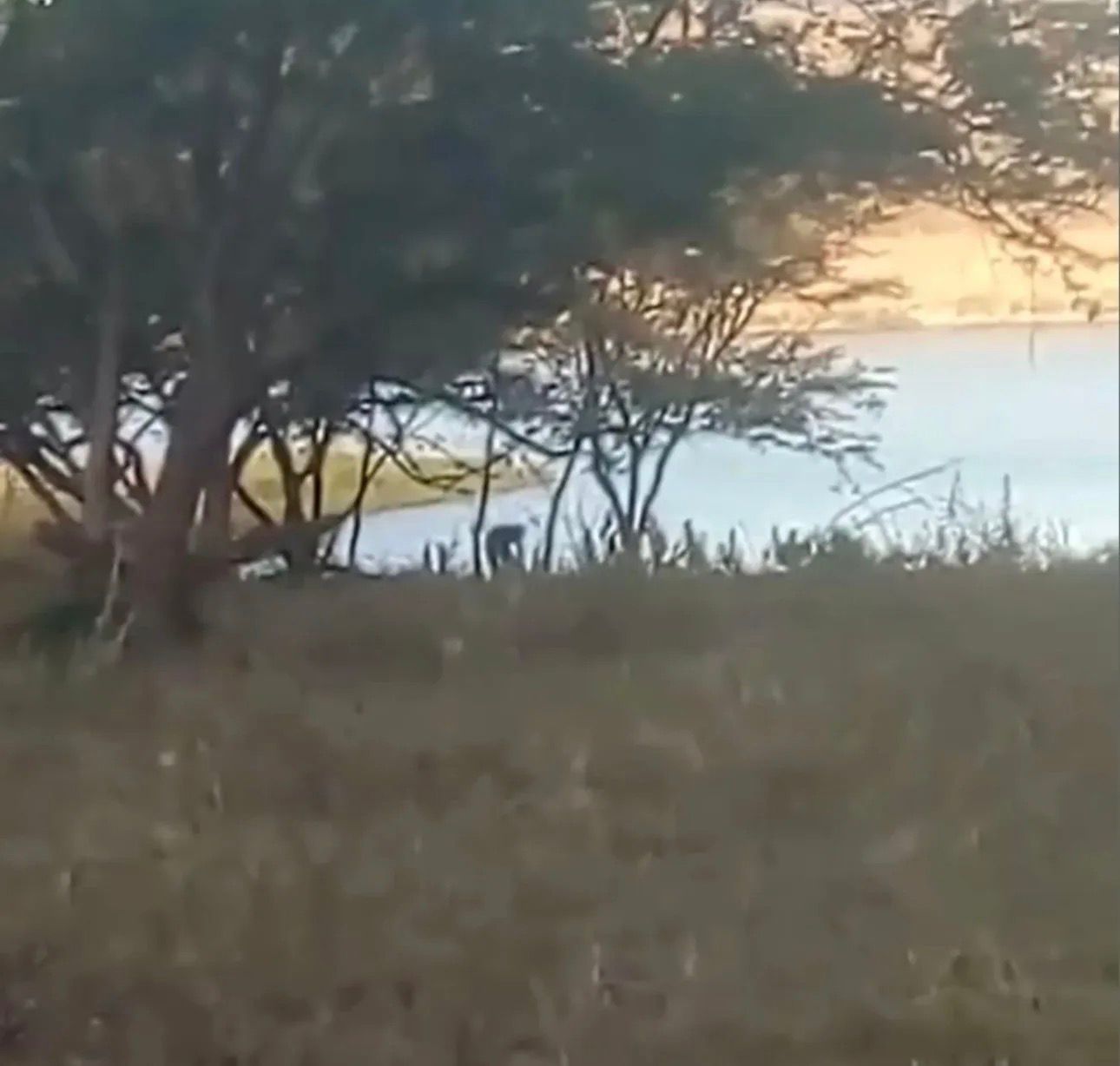 flagrante-paodeacucar-estup