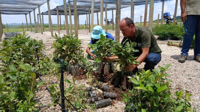 78409311826022026_MUDAS_IMA_1600x900