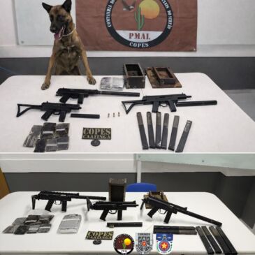 WhatsApp Image 2026-02-04 at 06.57