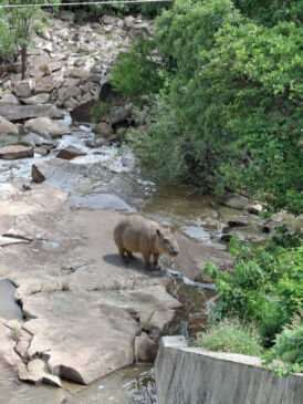 WhatsApp Image 2026-03-05 at 09.03